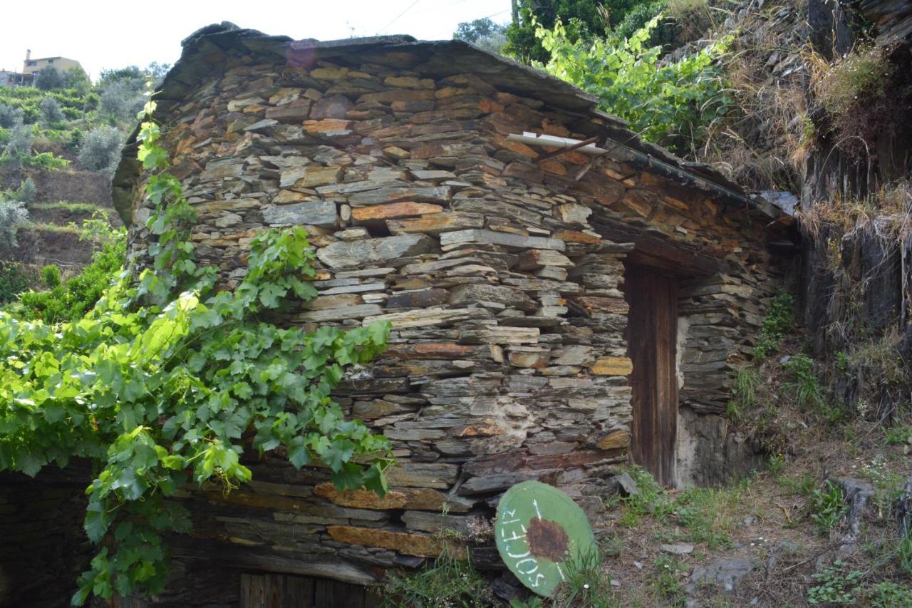 Casa Do Azereiro Villa Casal do Rei  ภายนอก รูปภาพ